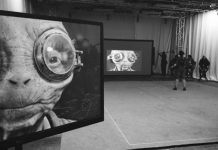 Lupita Nyong’o Episode VIII Scenes Are In The Can