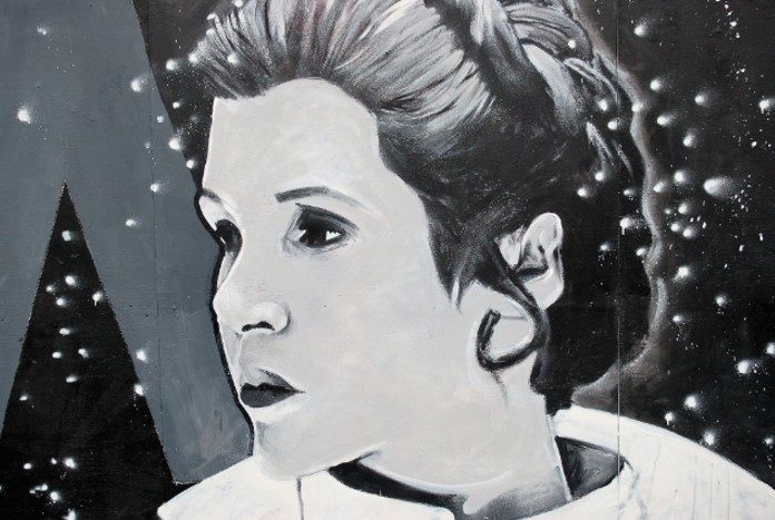 princessleia_template_11
