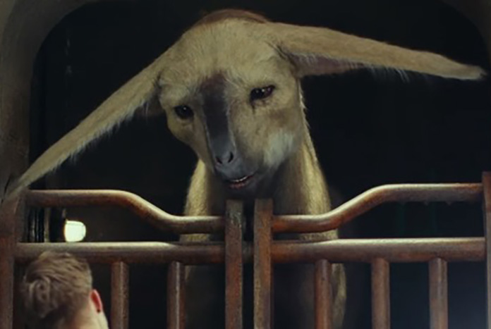 Meet The Fathiers Majestic Lion Horse Creatures In The Last Jedi 