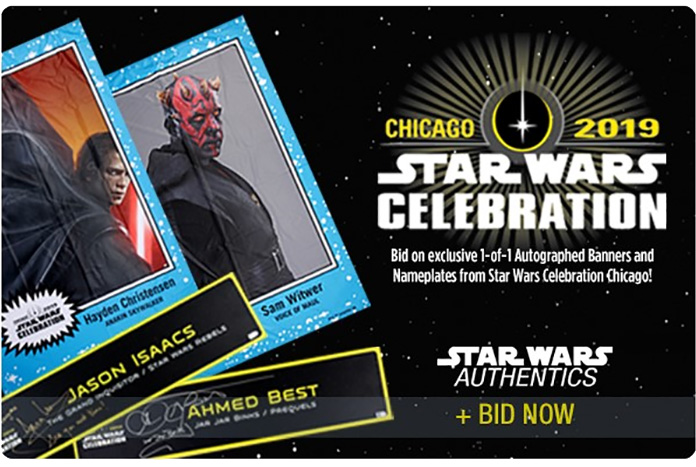 SWCC19 SWA Banner Auctions
