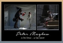 Stephen Hayford’s Tribute to the Passing of Peter Mayhew