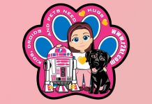 R2-KT – KT Paw Patch