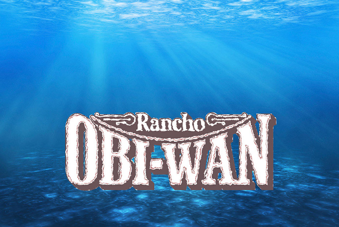 ROW Deep Dives