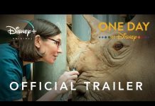 Disney Publishing Worldwide and Disney+ Announce One Day at Disney
