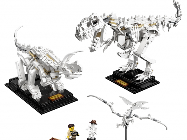 LEGO Ideas Dinosaur Fossils (Set #21320) Announced, Available 1st ...