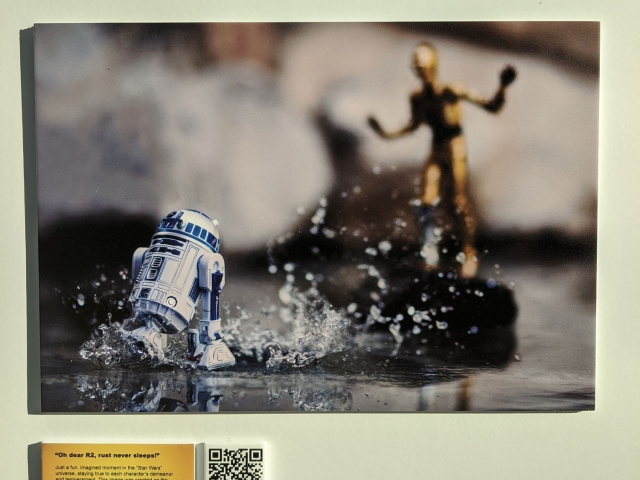 Toy Fair New York 2020: Mitchel Wu Toy Photography Gallery