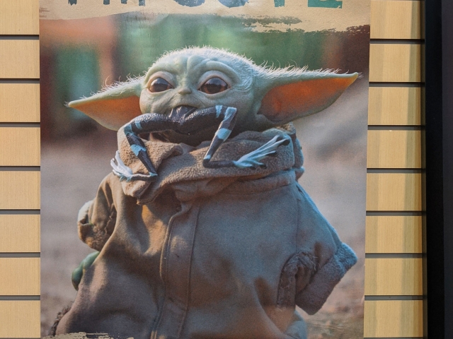 Toy Fair New York 2020: Trends International Gallery