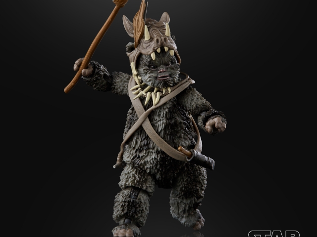 hasbro-2020-fan-appreciation-tbs (11)