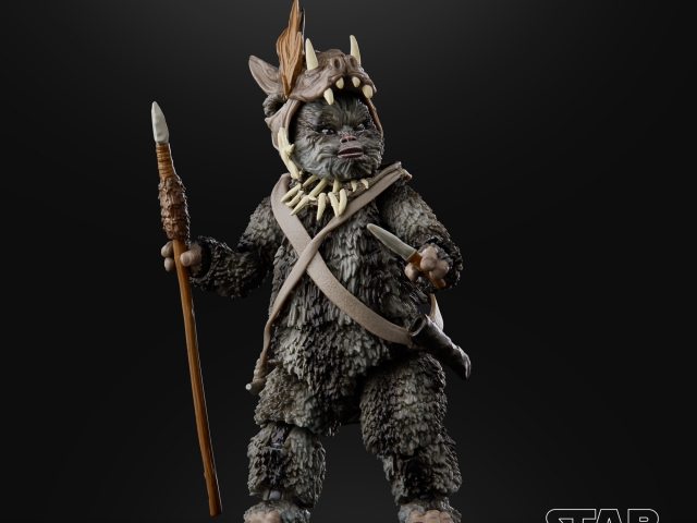 hasbro-2020-fan-appreciation-tbs (13)