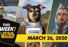 TWISW: Cute Star Wars Pets, New Updates to Galaxy of Heroes & More!