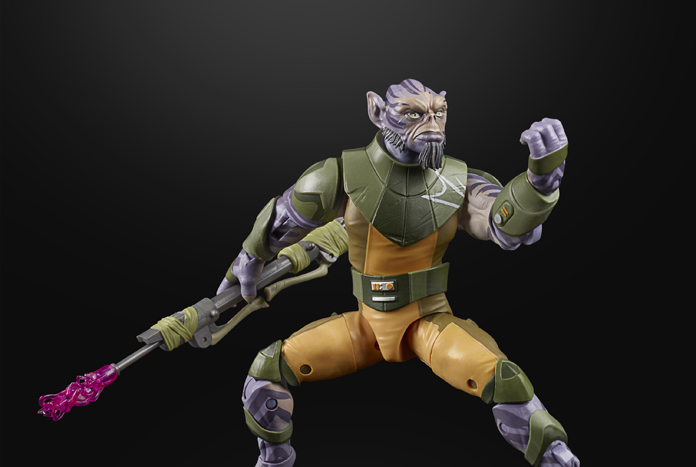 tbs-zeb-2020-loose