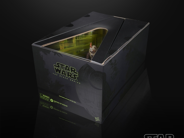 hasbro-2020-tbs-heroes-of-endor-set-1