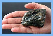 New Star Wars Dewback Magnet from Regal Robot — Now Shipping!