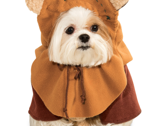 Disney Unveils Star Wars 2021 Halloween Lineup