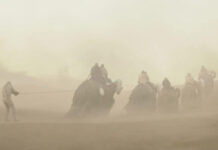 David Klein Reveals the Magic Behind Banthas in The Book of Boba Fett