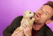 Ewan McGregor Talks Obi-Wan Kenobi Whilst Playing with Puppies