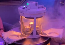 What’s in the $5000 Drink Available Aboard the Disney Wish?