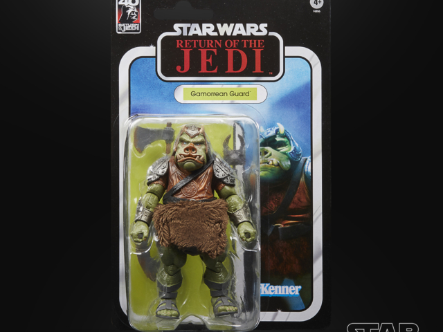 STAR WARS THE BLACK SERIES GAMORREAN GUARD 1