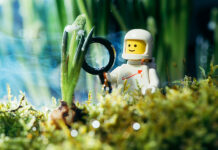 Celebrating LEGO Brick Photography at LEGO House