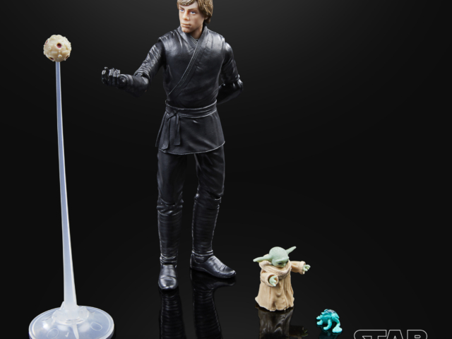 STAR WARS THE BLACK SERIES LUKE SKYWALKER & GROGU 17