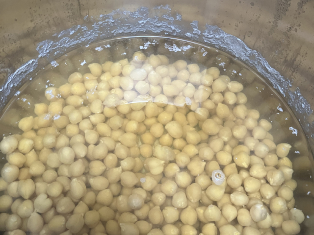 R2_InstantPot_03