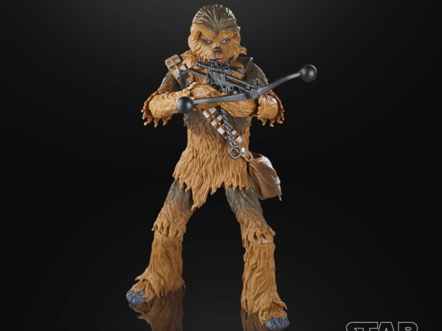 STAR WARS THE BLACK SERIES CHEWBACCA 11