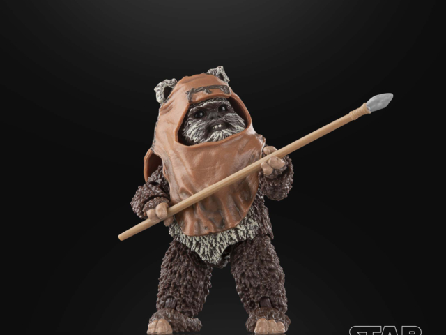 STAR WARS THE BLACK SERIES WICKET 11