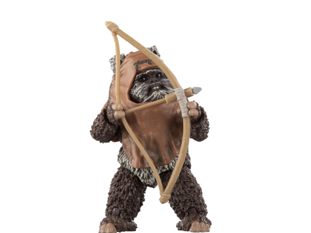 STAR WARS THE BLACK SERIES WICKET 14
