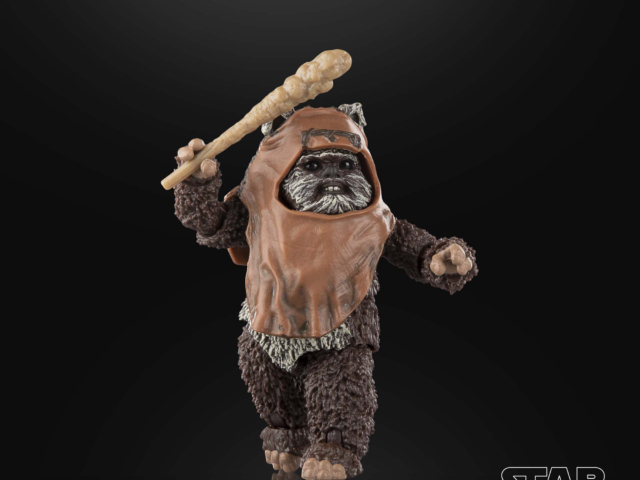 STAR WARS THE BLACK SERIES WICKET 15