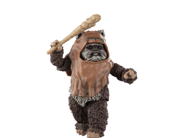 STAR WARS THE BLACK SERIES WICKET 16