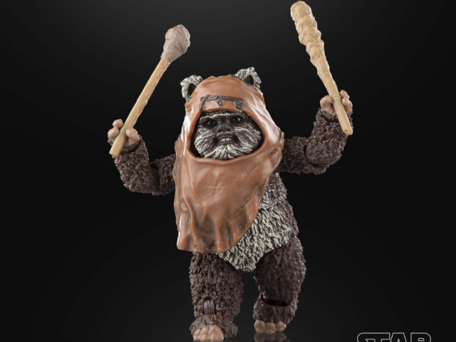 STAR WARS THE BLACK SERIES WICKET 19