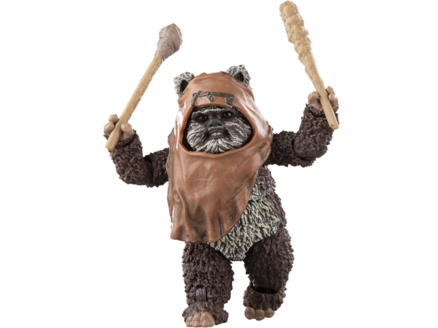 STAR WARS THE BLACK SERIES WICKET 20