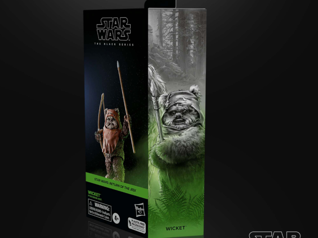 STAR WARS THE BLACK SERIES WICKET 3