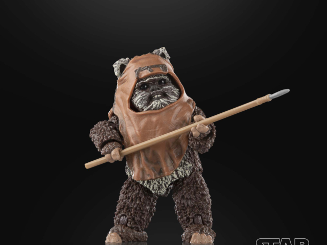 STAR WARS THE BLACK SERIES WICKET 9