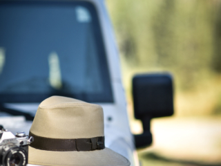 Indiana Jones Product Push Jun23 31