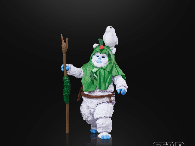 STAR WARS THE BLACK SERIES EWOK (HOLIDAY EDITION) 3