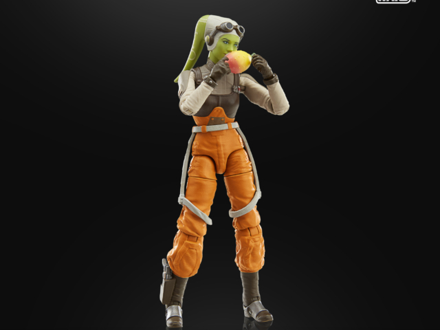 TVC Ghost Hera Figure 9