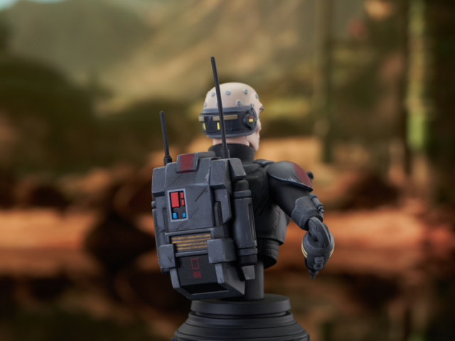 BB_Echo_Bust_04_Feb24