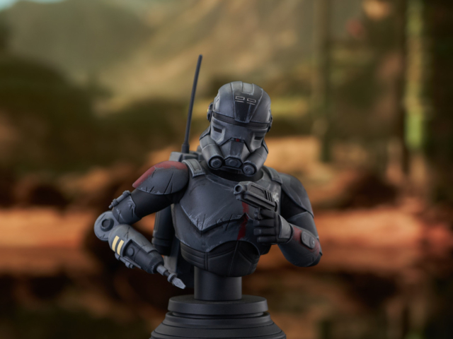 BB_Echo_Bust_05_Feb24