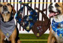 RSVLTS Unleash the Power of the Bark Side with New Star Wars Dog Bandanas