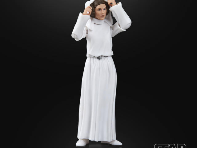 STAR WARS THE BLACK SERIES PRINCESS LEIA ORGANA 7