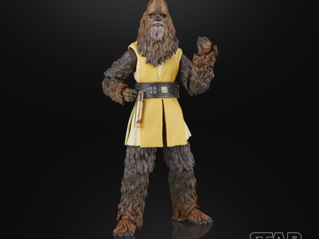 STAR WARS THE BLACK SERIES JEDI MASTER KELNACCA 11