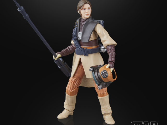 STAR WARS THE BLACK SERIES LUKE SKYWALKER (IMPERIAL GUARD) & PRINCESS LEIA ORGANA (BOUSHH) 5