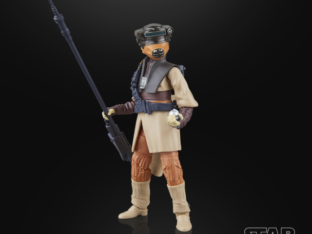 STAR WARS THE BLACK SERIES LUKE SKYWALKER (IMPERIAL GUARD) & PRINCESS LEIA ORGANA (BOUSHH) 8
