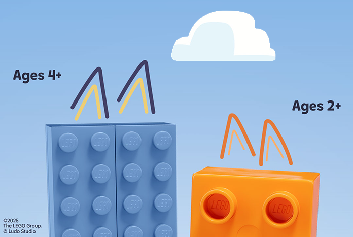 The LEGO Group Bluey Jan25