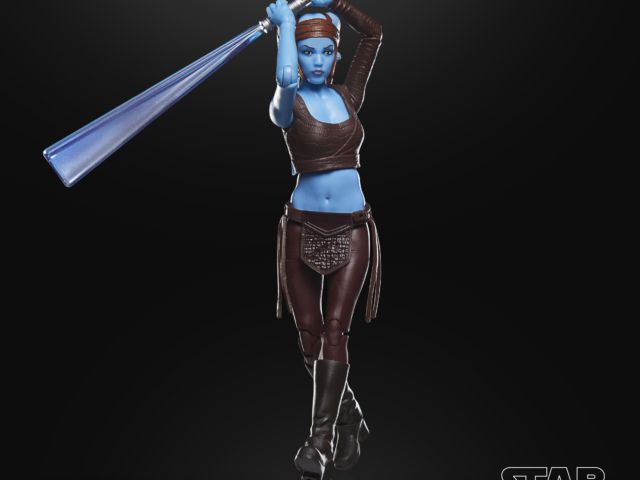 STAR WARS THE BLACK SERIES AAYLA SECURA 1
