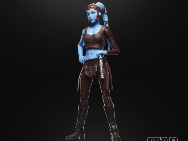 STAR WARS THE BLACK SERIES AAYLA SECURA 6