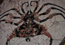 Andor’s Production Designer Shares Darth Maul Easter Egg