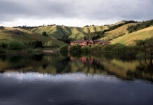 Skywalker Sound at 50: General Manager Josh Lowden on a Half-Century of Sonic Storytelling