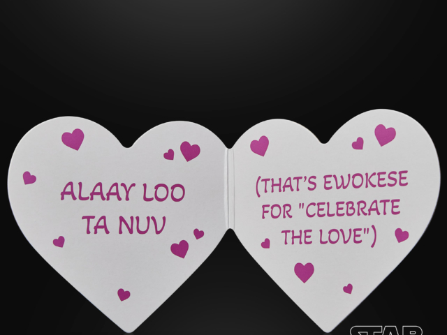 Hasbro_The Black Series_Ewok_Valentines_Day_05a_Oct25